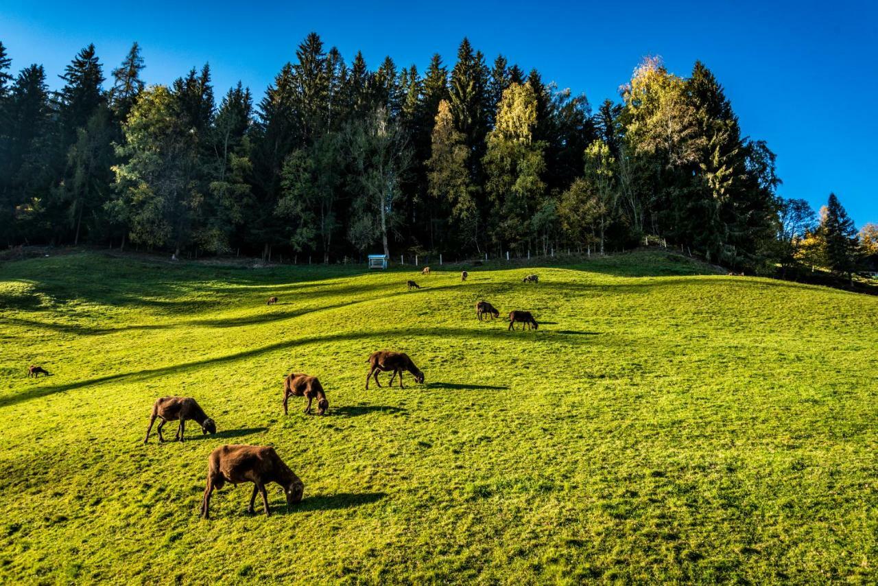 Stallhäusl Schladming Exteriör bild